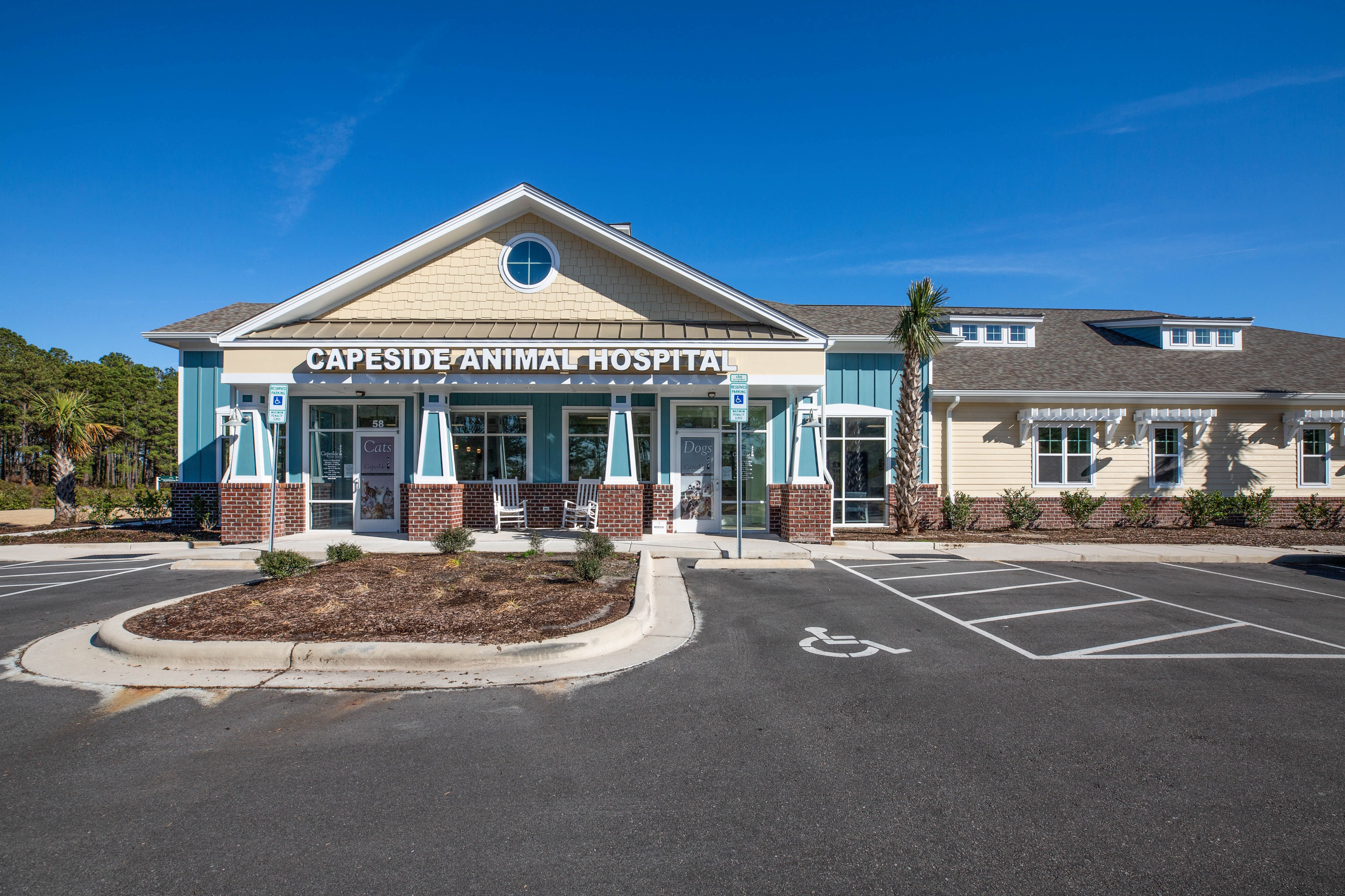 Capeside Animal Hospital S Staff Veterinarians In Leland