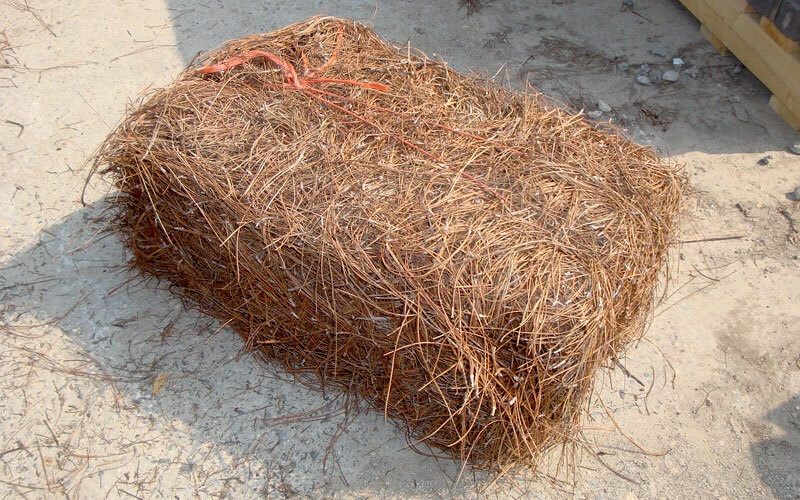 Pine Straw