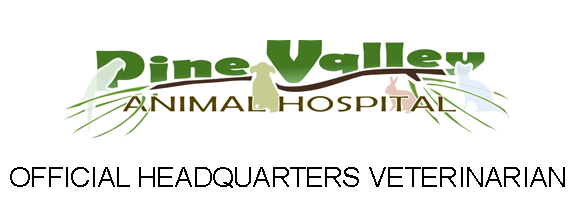 paws4people Sponsor | Pine Valley Animal Hospital