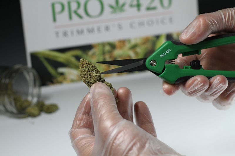 PRO 420 Scissors- Spring Loaded- Professional Manicure Scissors for Cannabis - PRO 420 Scissors- Spring Loaded- Professional Manicure Scissors for Cannabis