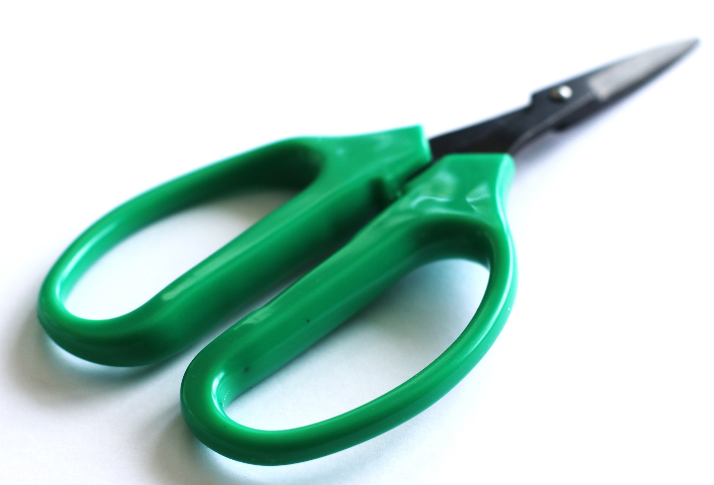 PRO 420 Scissors - 6 Pack of Classic Bonsai Professional Trimming Scissors for Cannabis - Classic Bonsai Scissors