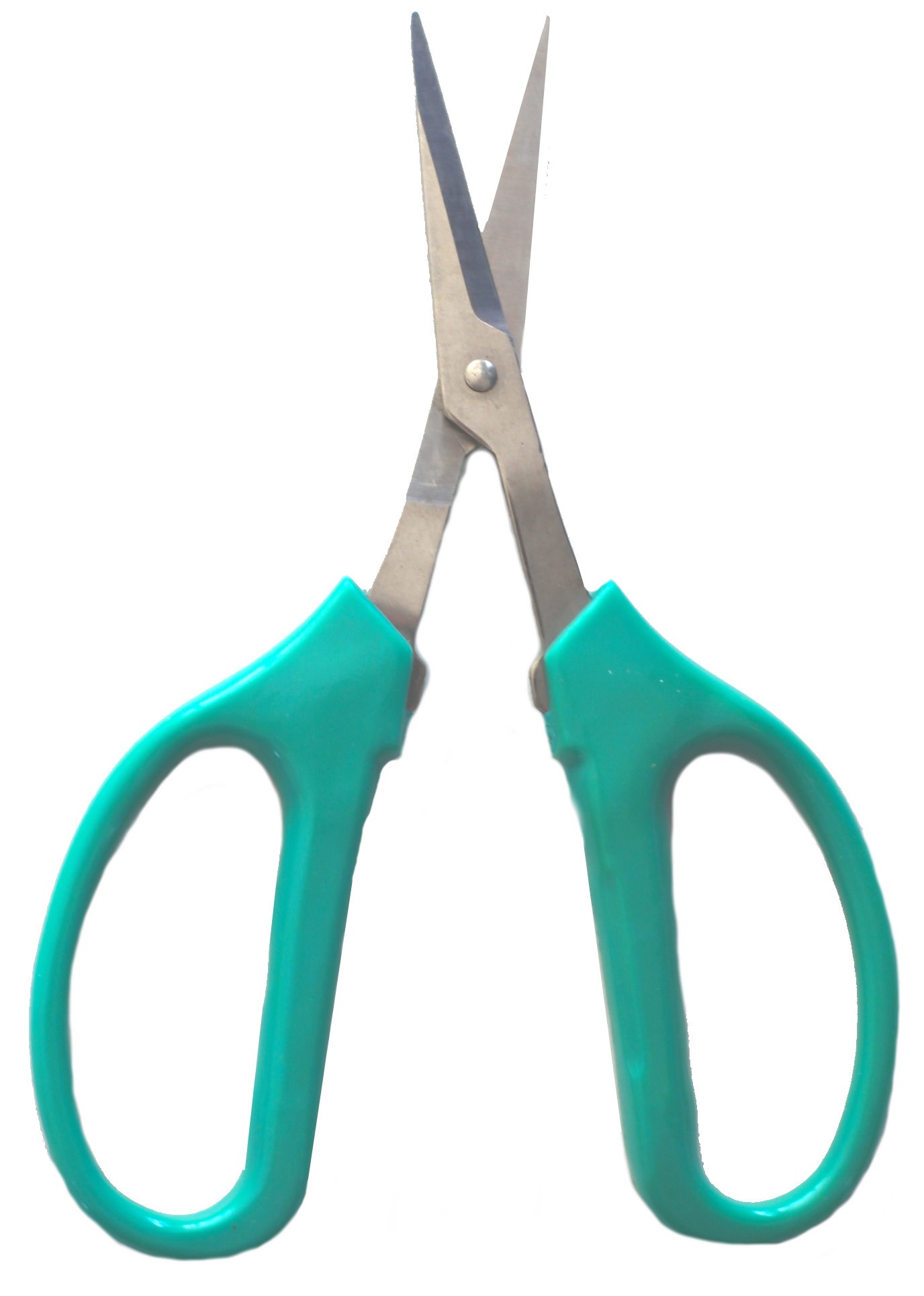 PRO 420 Classic Silver Scissors- 2 Pack- Harvest Scissors- Trim-Manicure-Professional Grade Scissors - Marijuana Trim Scissors