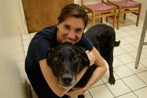 Coventry Animal Hospital