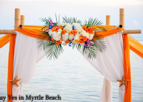 Myrtle Beach Wedding Officiants Ministers Planners Packages