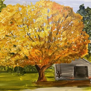 Fall Tree 
