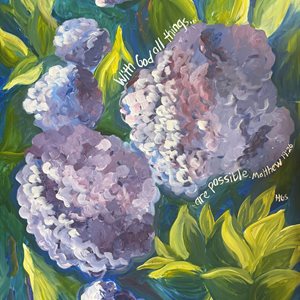 Hydrangeas (2) Matthew 19:26